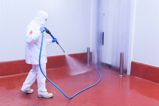 Best Pool Deck Cleaning  in Mint Hill, NC